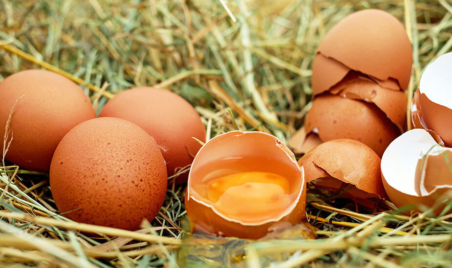 kako prepoznati svjeza jaja u vodi test
