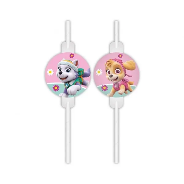 Papirnate slamke, Paw Patrol Skye & Everest