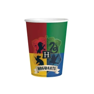 party casa harry potter rodjendan
