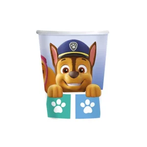 party casa paw patrol rodjendan