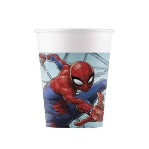 rodjendanska party casa spiderman